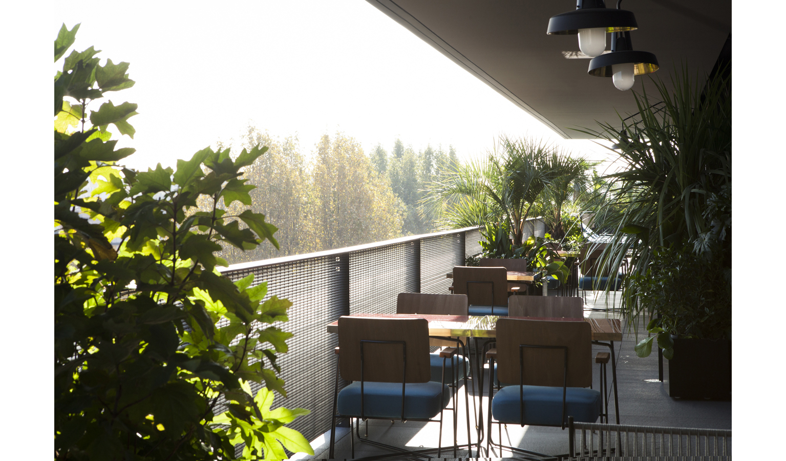 Ceresio7 DimoreGalleri@SilviaRivoltella 06